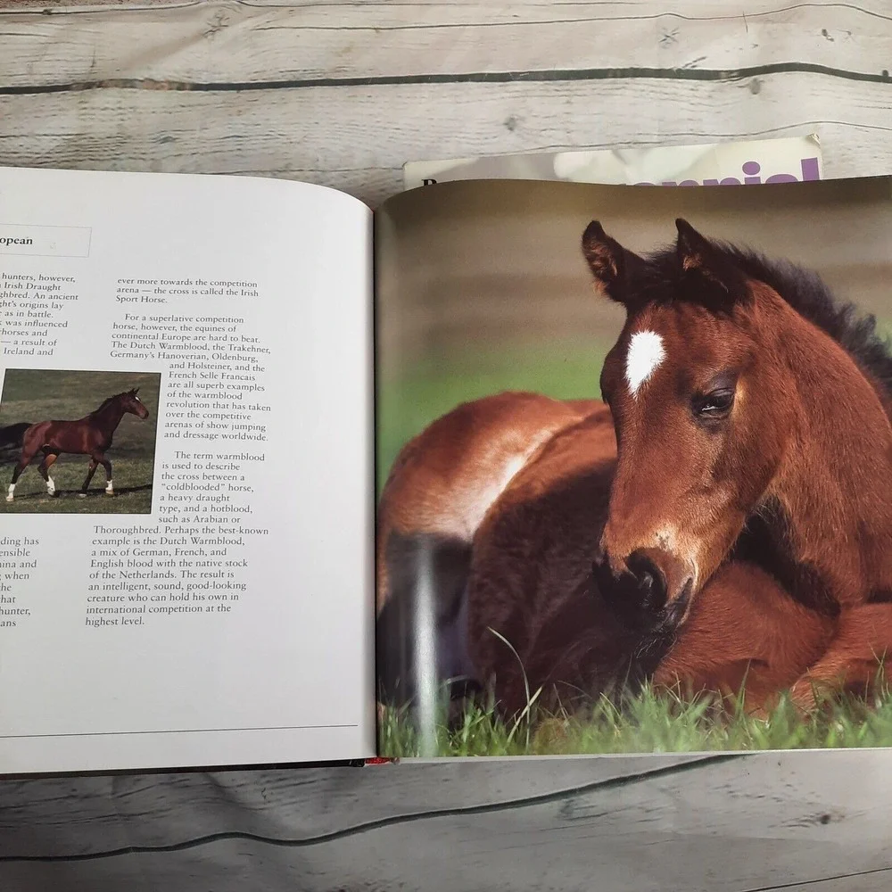 The Book of Horses by Nicola Jane Swinney 2009 Hard Cover